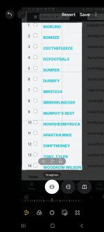 Screenshot_20240829_114626_Photo Editor.jpg