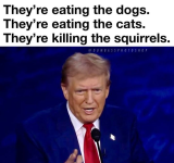 1730585188533.png 1730585188533.png