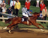 secretariat.PNG